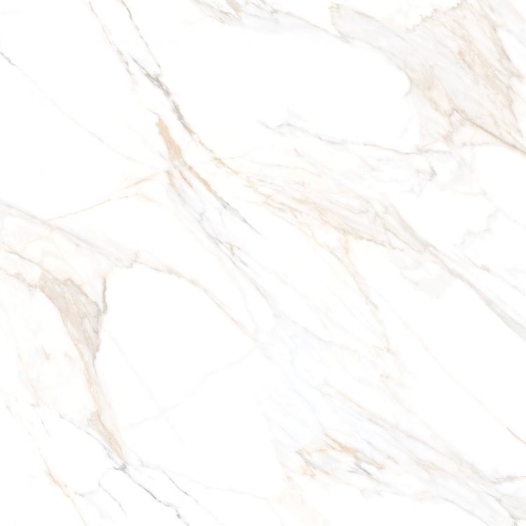 Aurum Calacatta Polished 48 x 48